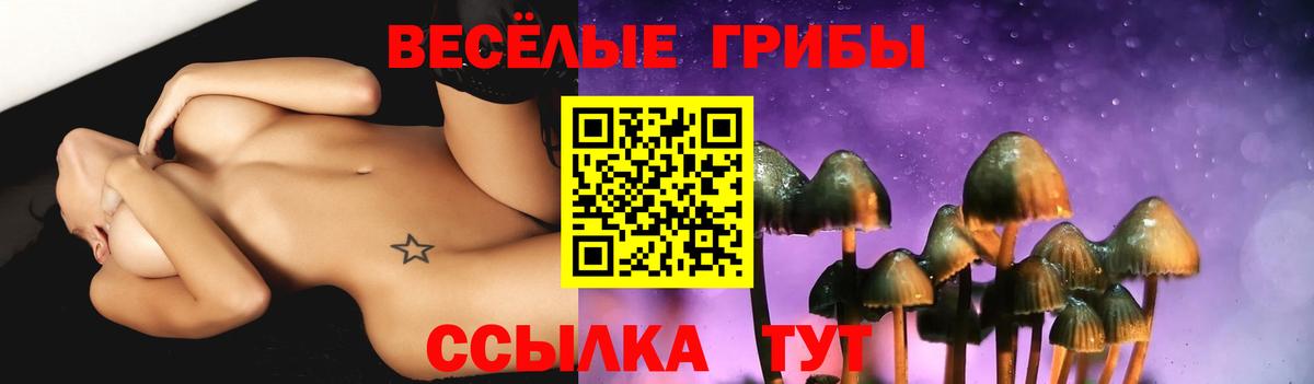 Галлюциногенные грибы прущие грибы  Галлюциногенные грибы Magic Shrooms  Вход с VPN  Сургут 